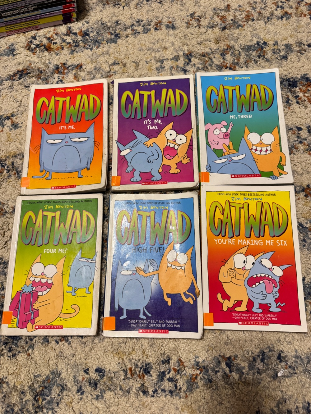 Catwad Book Set - Bright Multicolor Covers